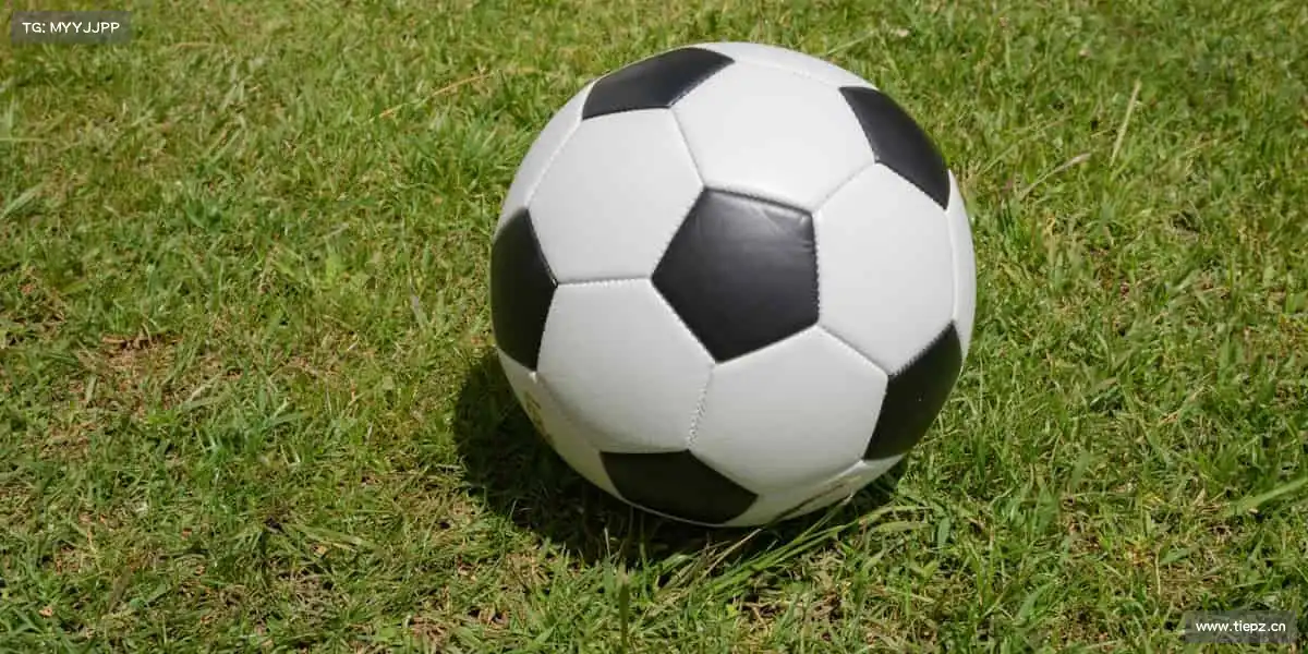 我们的品牌价值